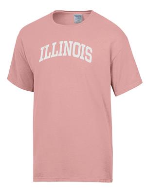 Image of ILLINOIS FASHION ARCH COMFORT WASH T-SHIRT -  cottoncandy